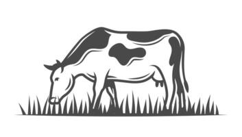 Farm cow isolated on white background vector
