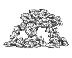 A large underwater rock mountain with seaweed and coral reef. Tropical underwater element of natural world, compositions, prints. Hand drawn textured sketch in black and white on isolated background vector