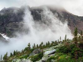 Cloudy mountain top steep thin forest. Mountains in the grey clo photo