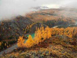Wonderful alpine landscape with mountain river Argut in valley with forest in autumn colors on background of foggy mountains silhouettes under low clouds. Beautiful mountain valley in autumn. photo