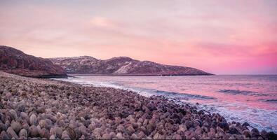 Magical magenta sunset. Wide panorama. Pebbles on the seashore. The surface of the beach on the north ocean is covered with large polished round stones of gray color of different sizes. photo