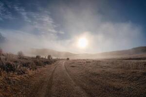The road in the dry steppe in Altai region at dawn. photo