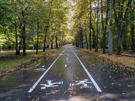 Roller track in the autumn Park. White markings on the asphalt for cyclists and rollerbladers. photo