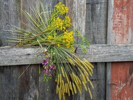 wooden rustic fence with flowers photo
