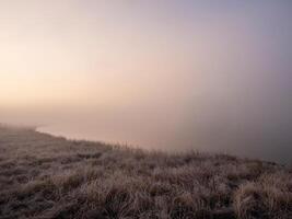 sunny dawn in the swamp, dense fog photo