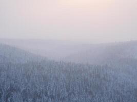 Carpet of snowy coniferous forest under morning pink frosty fog. Tops of hills are covered with frost. photo