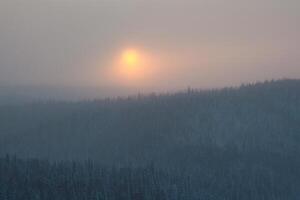 sun in a snowy frosty haze over a coniferous forest photo