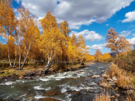 otoño paisaje con dorado arboles a lo largo turquesa montaña río foto
