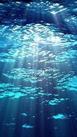 Sunlit Ripples Beneath the Waves Loop video
