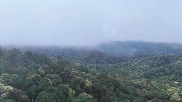 Aerial view of mountains and fog. video