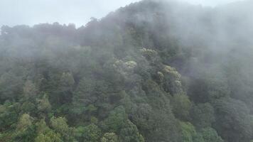 Aerial view with misty mountains video