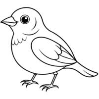 Elegant Bird Sketch for Coloring Pages vector