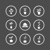 Plants in pots icon set for nature with home vector