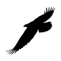 Powerful Silhouette of a Soaring Eagle in Flight. Symbol of Eagle , Eagle Icon, Eagle Logo, Eagle Drawing. vector