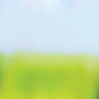 Abstract green gradient, green ground, background vector