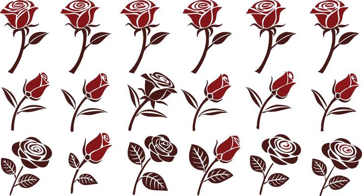 rose flowers set design collection