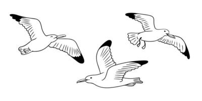 Set of black and white illustrations of seagulls in flight, showcasing different wing positions, simple outlines, and a minimalistic style on a white background vector