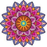 a colorful flower with a circular center vector