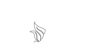Animated self drawing of continuous line draw beauty fresh venus flytrap for home wall decor art poster print. Decorative of dionaea muscipula for game enemy. Full length single line animation video