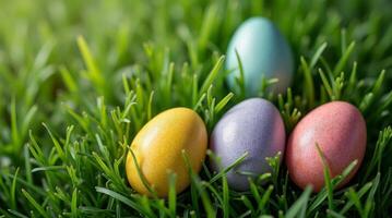Colorful Easter eggs in pastel shades resting on green grass in sunlight. Minimalistic spring holiday concept photo
