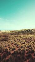Sparse Grass in Desert Aerial View video