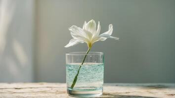Sparkling Water with Flower Spring Relaxing Summer Day. photo