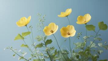 Yellow Flowers and Greenery Frame a Blue Background photo
