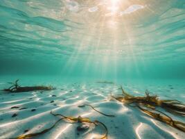 Serene Underwater Scene with Sunlight Streaming Through Clear Water SurfaceSerene Underwater Scene with Sunlight Streaming Through Clear Water Surface. photo