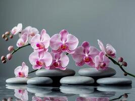Elegant Pink Orchids on Smooth Stones with Serene Water Reflection photo