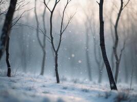 Peaceful Winter Landscape with Bare Trees and Gentle SnowfallPeaceful Winter Landscape with Bare Trees and Gentle Snowfall. photo