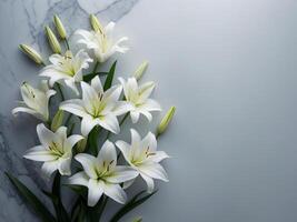Elegant White Lilies on Gray Marble Background for Floral and Nature ThemesElegant White Lilies on Gray Marble Background for Floral and Nature Themes. photo