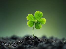 Single Green Clover Leaf Emerging from Soil on a Blurry Green BackgroundSingle Green Clover Leaf Emerging from Soil on a Blurry Green Background. photo