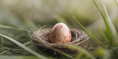Red speckled egg nestled in a birds nest in grass photo