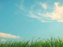 Fresh Green Grass Under Bright Blue Sky with Soft White Clouds AboveFresh Green Grass Under Bright Blue Sky with Soft White Clouds Above. photo