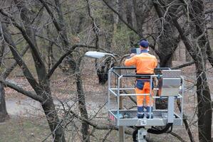 A utility electrician checks the operation of a street lamp against the backdrop of an autumn park. photo