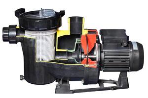 Cross-section of a high-pressure water pump with a built-in coarse filter. Isolated on white background. photo