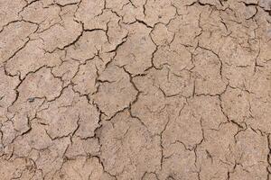 The texture of the dried earth with cracks and spots. photo