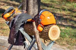 Standard safety, safety helmet and lumberjack overalls against the background of a log on a sunny day. photo