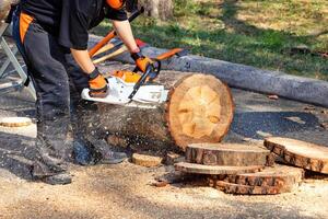 A woodcutter cuts a thick log into thin slices with a chainsaw. photo