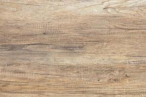 The background and texture of an aged board with cracks and expressive grains. photo