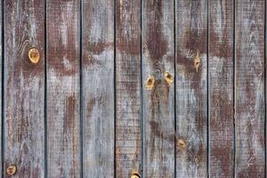 The texture of an old weathered fence with a clear structure of fibers and knots. photo