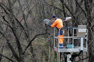 Worker in orange uniform maintaining street lamp from lift amid bare trees in early spring, nature restoration concept photo