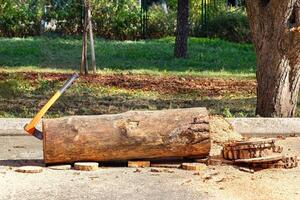 An axe embedded in a log beside freshly cut wood in a sunny outdoor setting. Copy space. photo