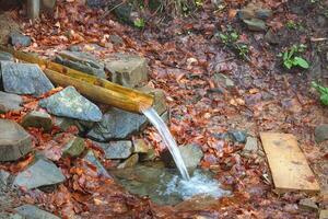 Water flows gently from a rustic wooden trough into a serene stone pool surrounded by autumn leaves photo