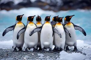King penguins standing together on shore with ocean in background photo