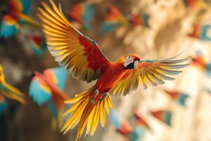 Scarlet macaw flying with open wings in a flock photo