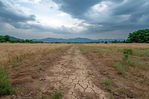 Cracked soil creating path through dry field under cloudy sky photo
