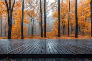 Empty wooden table showing misty autumn forest landscape. photo