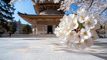 serene temple surrounded by cherry blossoms in full bloom photo