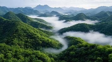 Lush green mountains shrouded in mist create serene landscape view photo